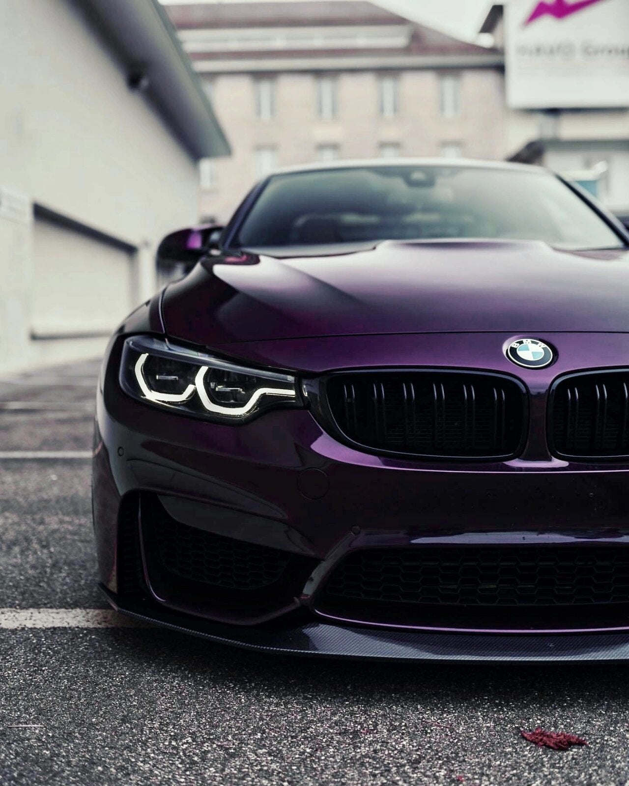 Midnight Purple