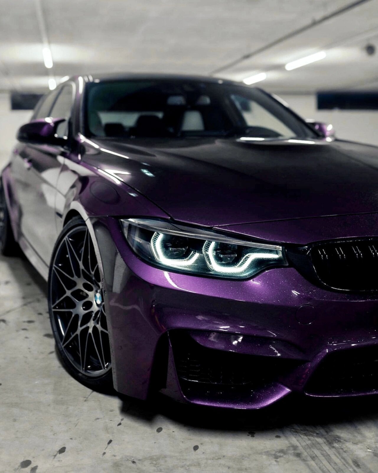 Midnight Purple