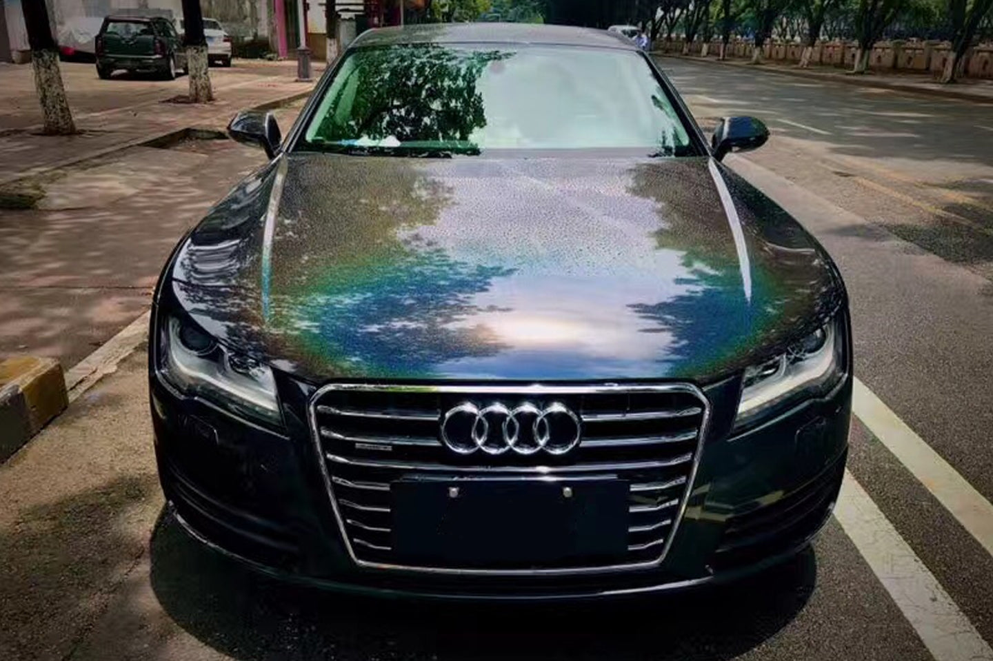 PET Colorful Laser Black