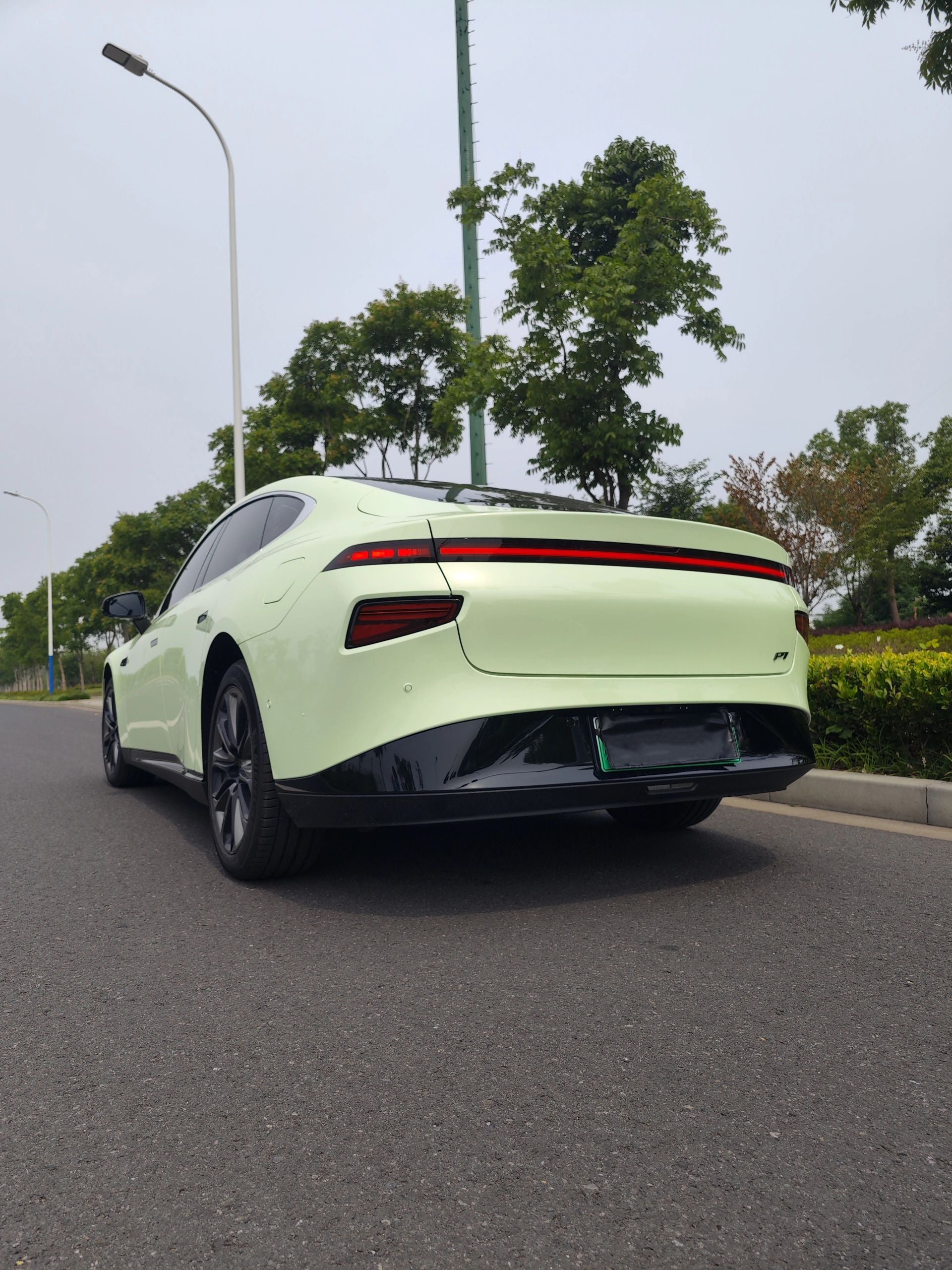 PET Avocado Green