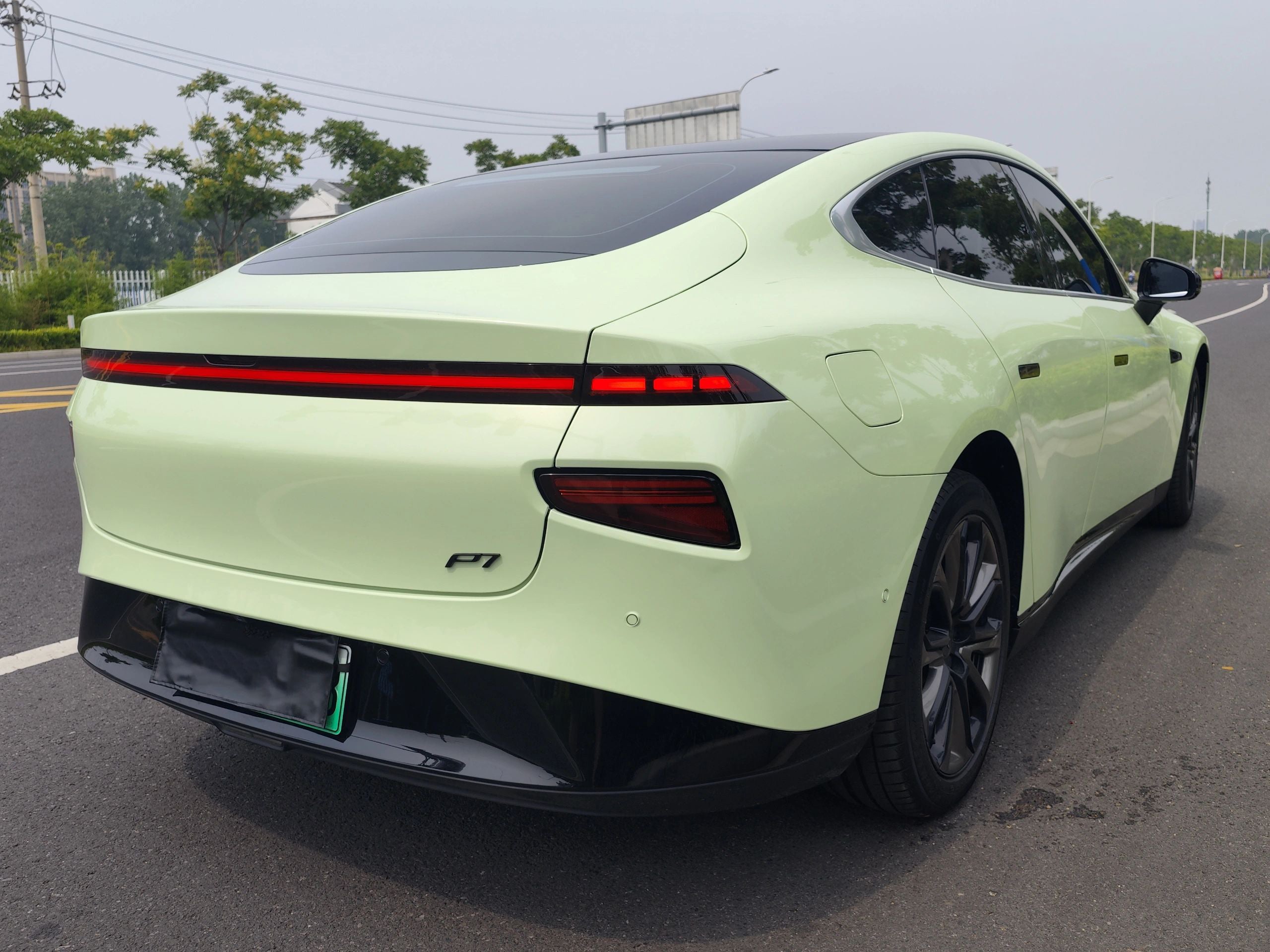 PET Avocado Green