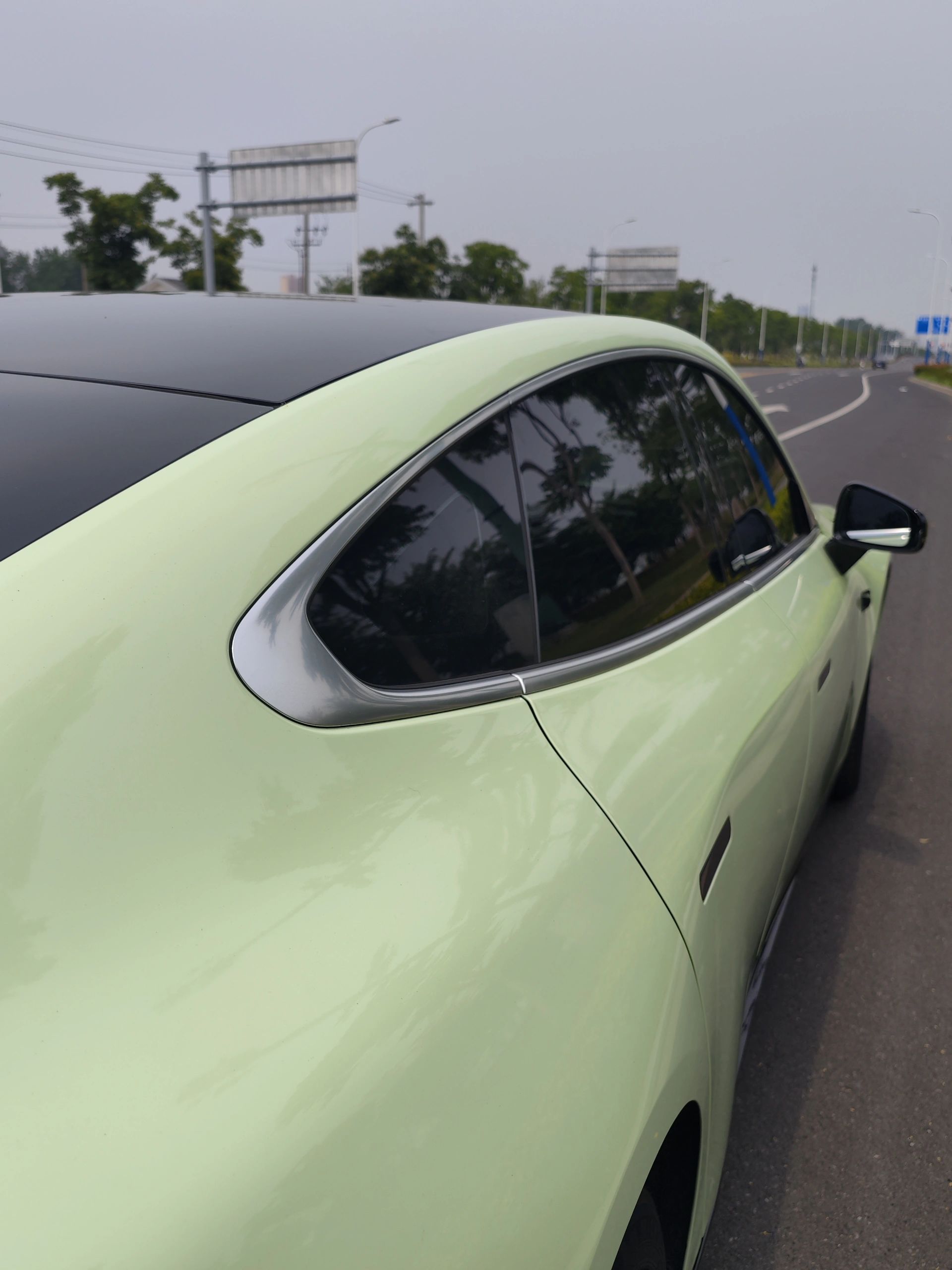 PET Avocado Green