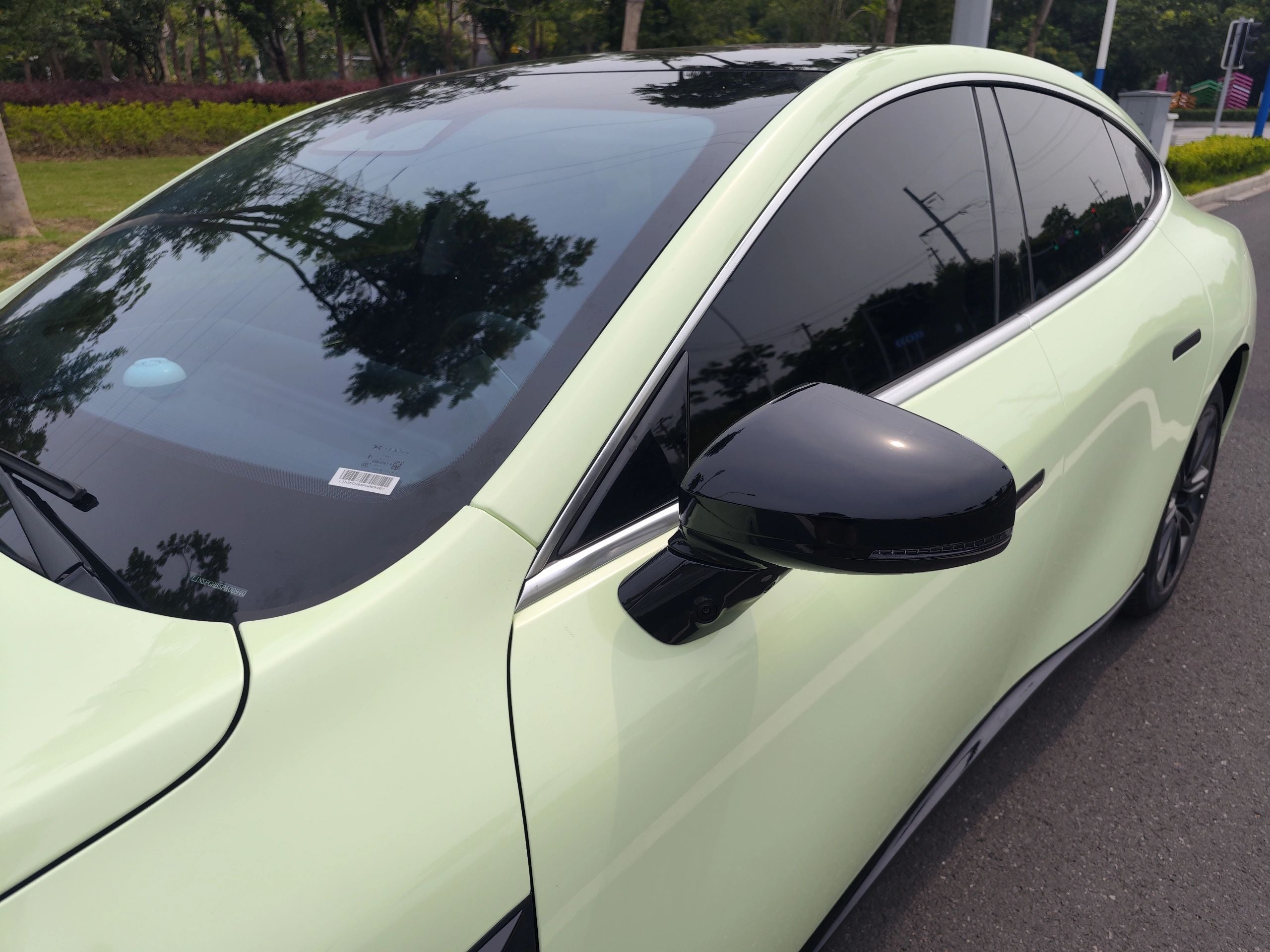 PET Avocado Green