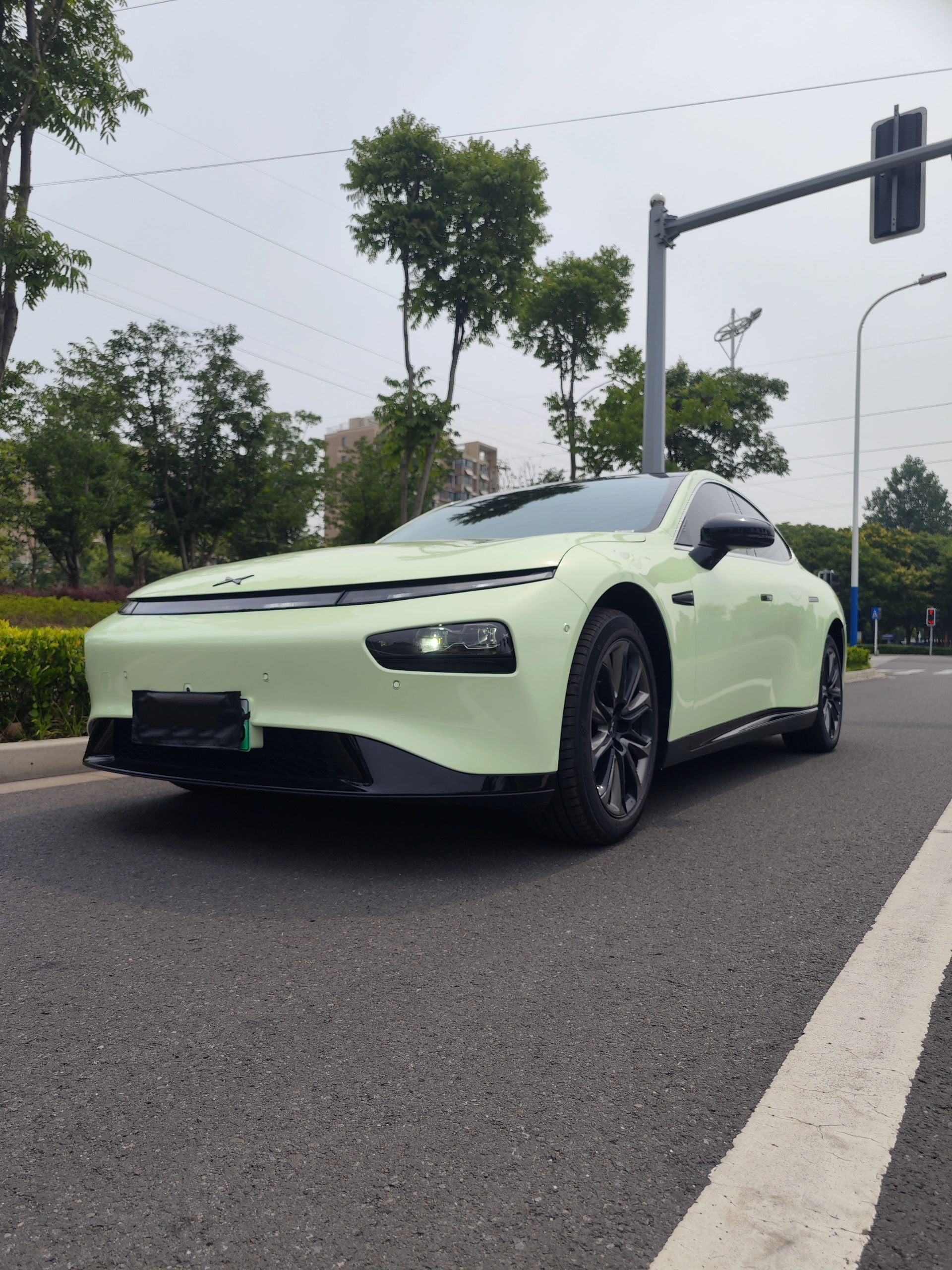 PET Avocado Green