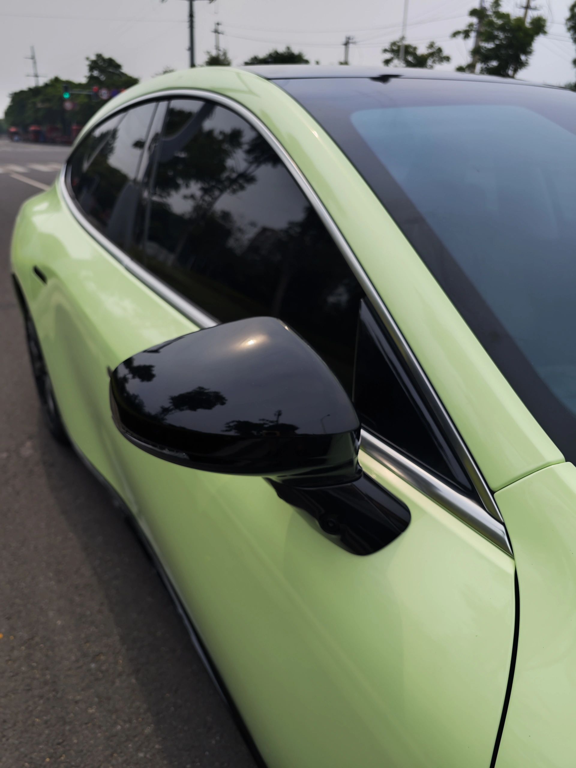 PET Avocado Green
