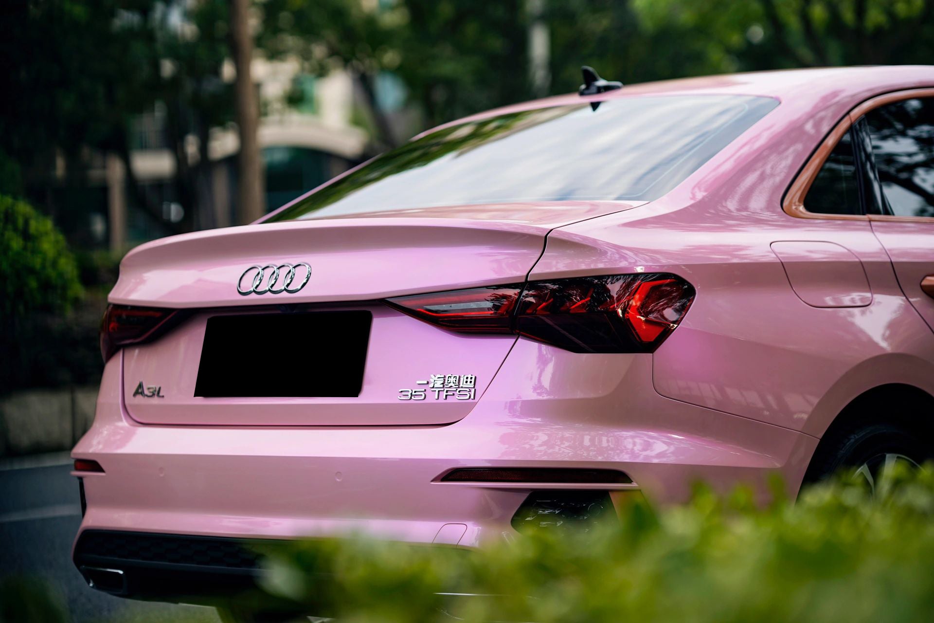 PET Phantom Pink