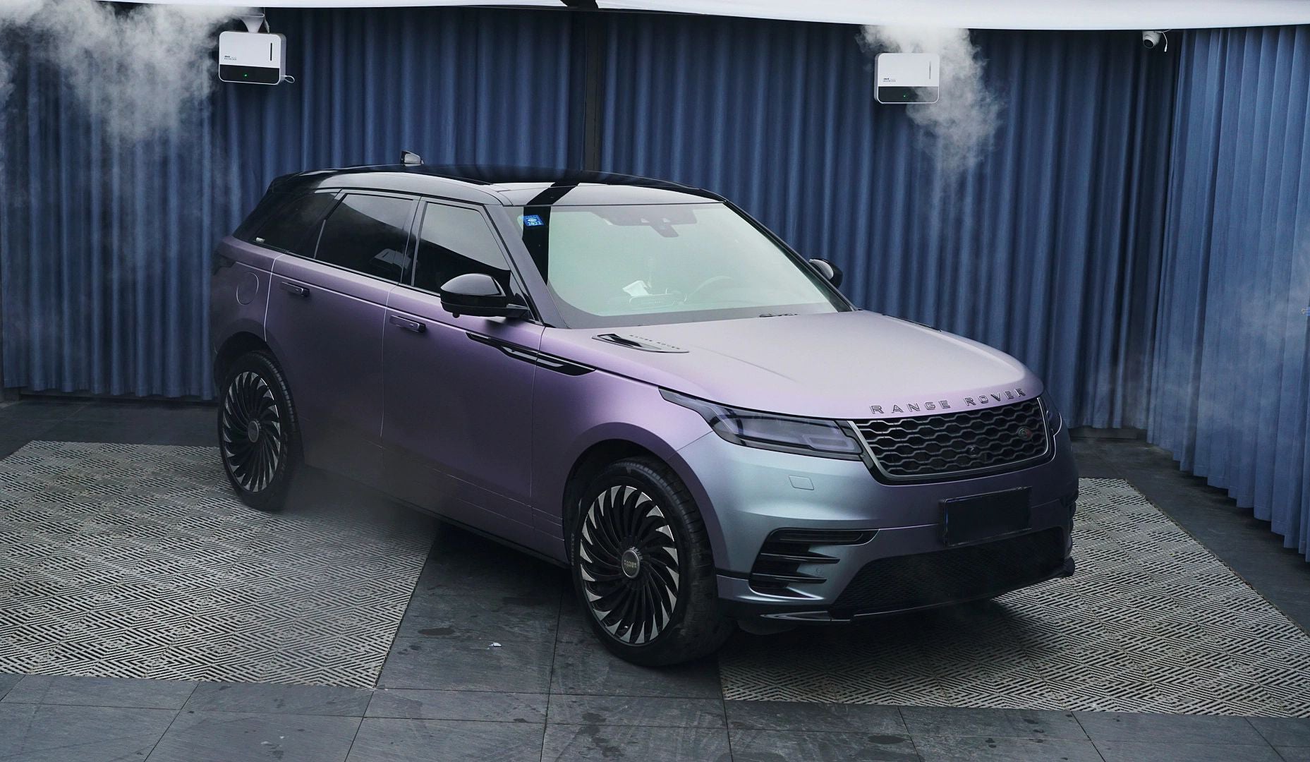 PET Capri Gray Purple