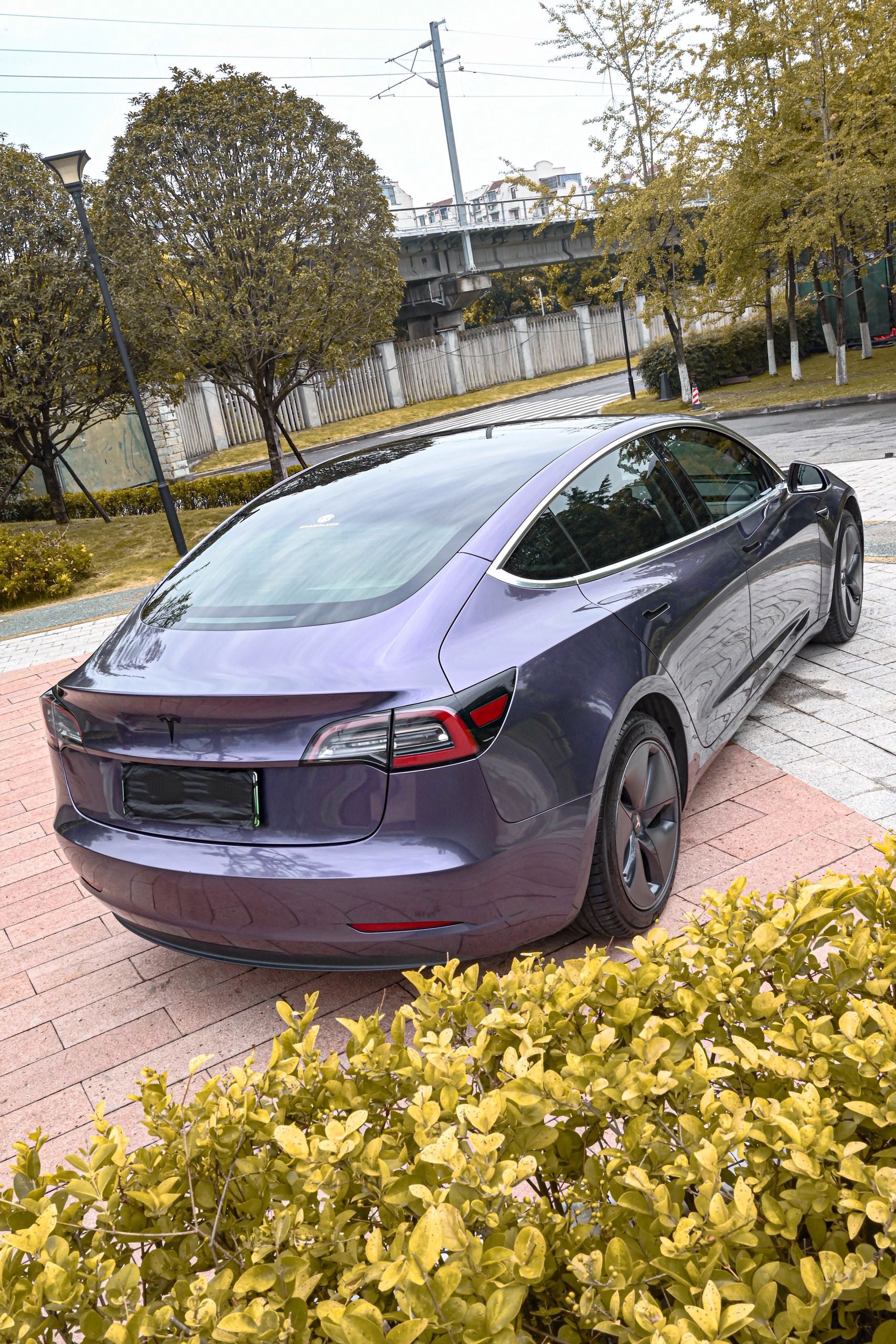 Phantom Gray Violet