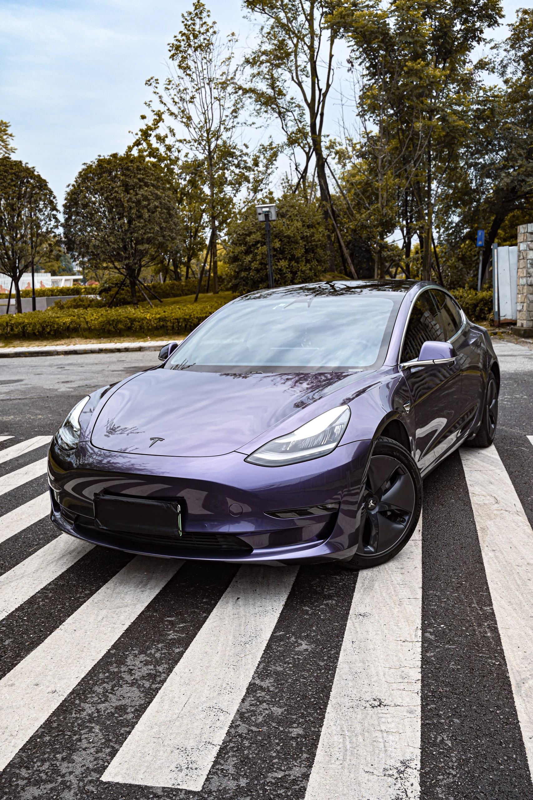 Phantom Gray Violet