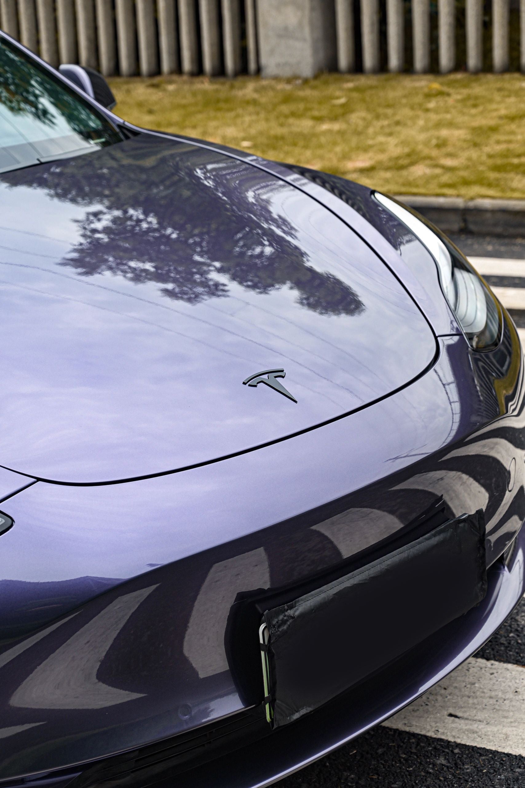 Phantom Gray Violet